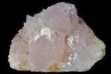 Cactus Quartz (Amethyst) Crystal Cluster - South Africa #132487-1